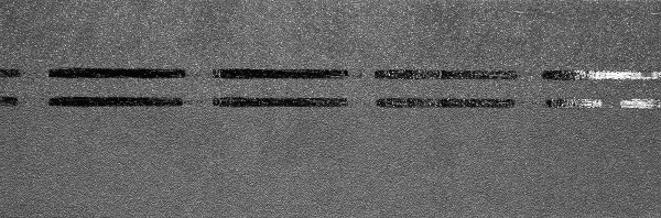 Коньково-карнизная черепица Docke Premium, черника купить в Одинцово